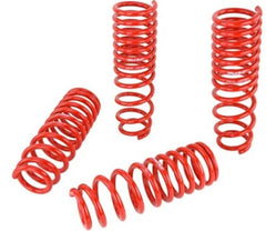 Skunk2 92-95 Honda Civic/Del Sol Lowering Springs (2.50in - 2.25in.) (Set of 4)