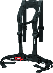 DragonFire Racing Harness Evo- Black