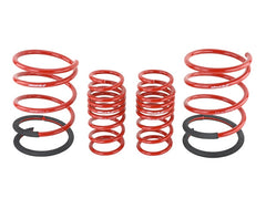 Skunk2 02-04 Acura RSX Lowering Springs (2.25in - 2.00in.) (Set of 4)