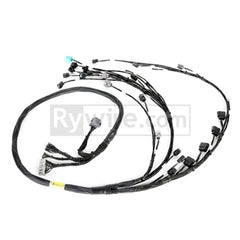 Rywire Honda K24 Tucked Eng Harn w/02-04 K24 Crank/Knock Sensor (Front VSS Position)